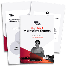 custom salt marketing StoryBrand Plan